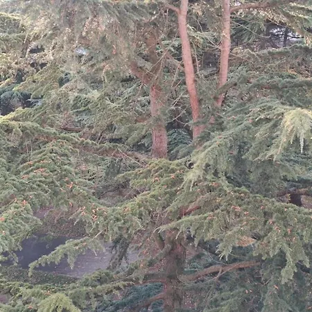 Large And Superb Near Paris * Creil