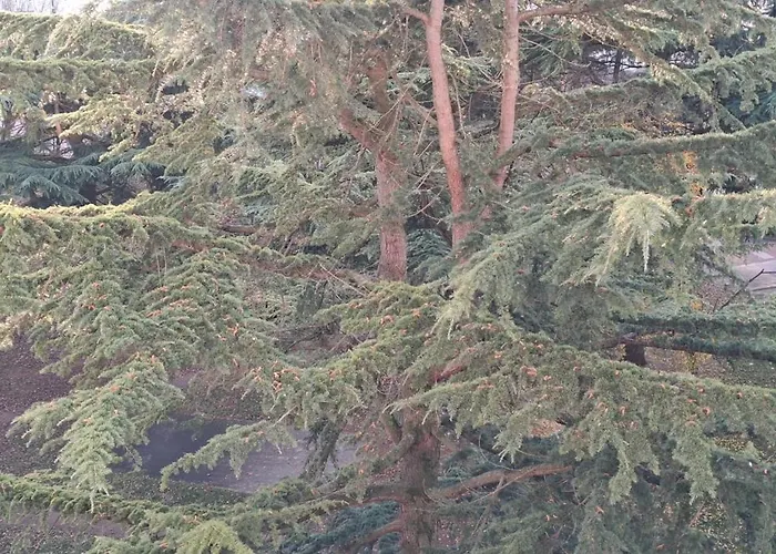 Large&superb Near Paris * Creil